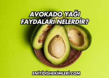 Avokado Yağı Faydaları Nelerdir?