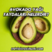Avokado Yağı Faydaları Nelerdir?