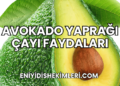 Avokado Yaprağı Çayı Faydaları