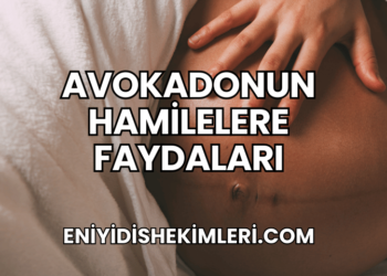 Avokadonun Hamilelere Faydaları