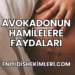Avokadonun Hamilelere Faydaları