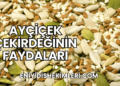 Ayçiçek Çekirdeğinin Faydaları