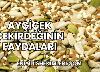 Ayçiçek Çekirdeğinin Faydaları
