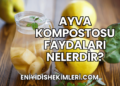Ayva Kompostosu Faydaları Nelerdir?