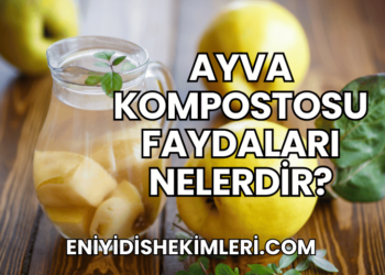 Ayva Kompostosu Faydaları Nelerdir?