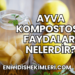 Ayva Kompostosu Faydaları Nelerdir?