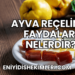 Ayva Reçelinin Faydaları Nelerdir?