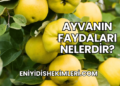 Ayvanın Faydaları Nelerdir?