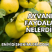 Ayvanın Faydaları Nelerdir?