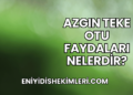 Azgın Teke Otu Faydaları Nelerdir?