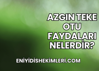 Azgın Teke Otu Faydaları Nelerdir?