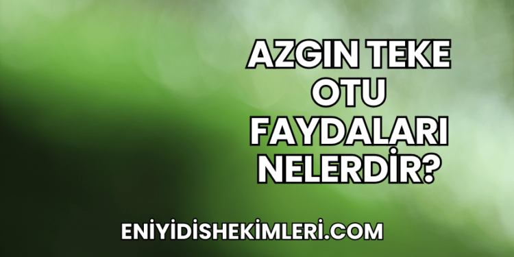 Azgın Teke Otu Faydaları Nelerdir?
