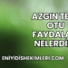 Azgın Teke Otu Faydaları Nelerdir?