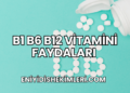 B1 B6 B12 Vitamini Faydaları