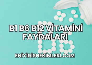 B1 B6 B12 Vitamini Faydaları