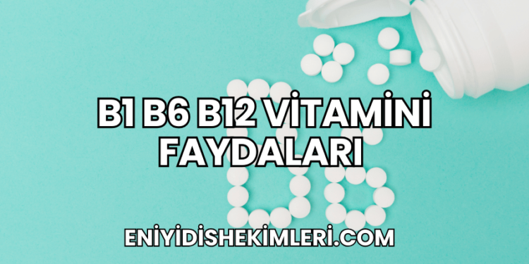 B1 B6 B12 Vitamini Faydaları