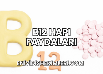 B12 Hapı Faydaları