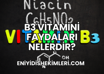 B3 Vitamini Faydaları Nelerdir?