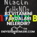 B3 Vitamini Faydaları Nelerdir?