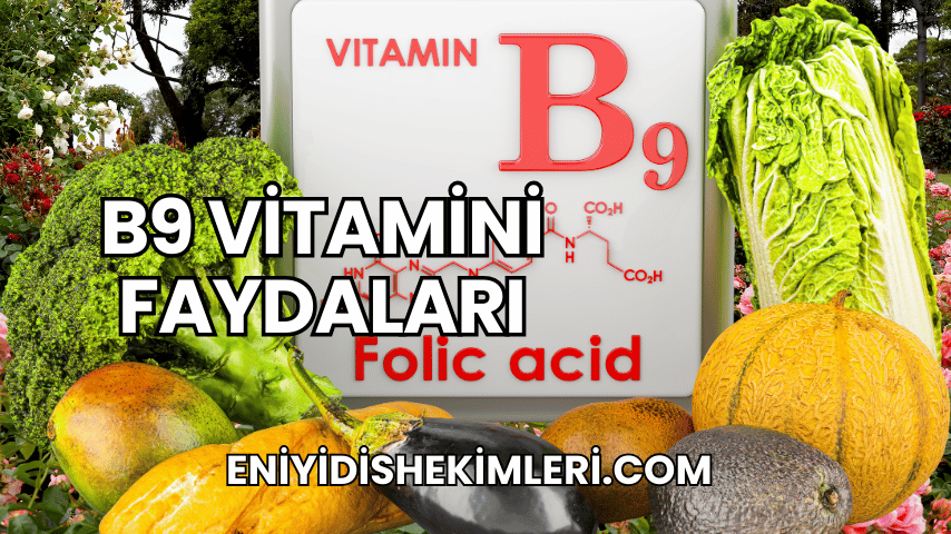 B9 Vitamini Faydaları