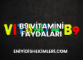 B9 Vitamini Faydaları
