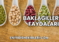 Baklagillerin Faydaları