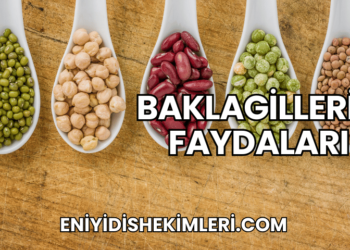Baklagillerin Faydaları