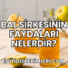 Bal Sirkesinin Faydaları Nelerdir?