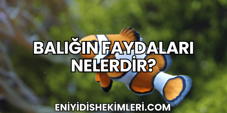 Balığın Faydaları Nelerdir?