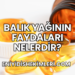Balık Yağının Faydaları Nelerdir?