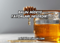 Balın Mideye Faydaları Nelerdir?