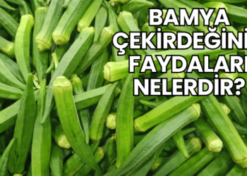 Bamya Çekirdeğinin Faydaları Nelerdir?