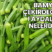 Bamya Çekirdeğinin Faydaları Nelerdir?
