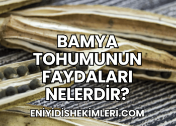 Bamya Tohumunun Faydaları Nelerdir?