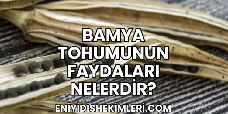 Bamya Tohumunun Faydaları Nelerdir?