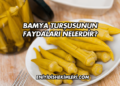 Bamya Turşusunun Faydaları Nelerdir?