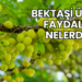 Bektaşi Üzümü Faydaları Nelerdir?
