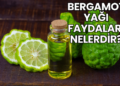 Bergamot Yağı Faydaları Nelerdir?