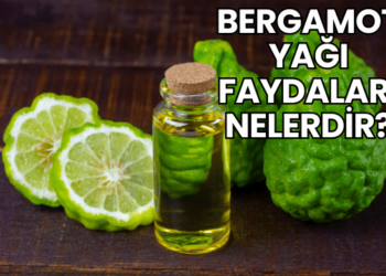 Bergamot Yağı Faydaları Nelerdir?