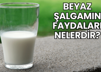 Beyaz Şalgamın Faydaları Nelerdir?