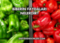 Biberin Faydaları Nelerdir?