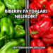 Biberin Faydaları Nelerdir?