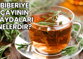 Biberiye Çayının Faydaları Nelerdir?