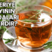 Biberiye Çayının Faydaları Nelerdir?