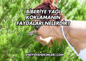 Biberiye Yağı Koklamanın Faydaları Nelerdir?