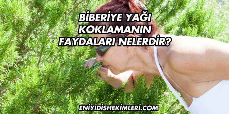 Biberiye Yağı Koklamanın Faydaları Nelerdir?