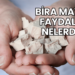 Bira Mayası Faydaları Nelerdir?