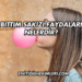 Bıttım Sakızı Faydaları Nelerdir?