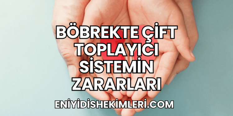 Böbrekte Çift Toplayıcı Sistemin Zararları