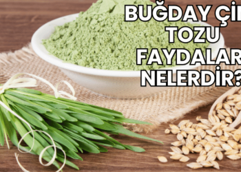 Buğday Çimi Tozu Faydaları Nelerdir?